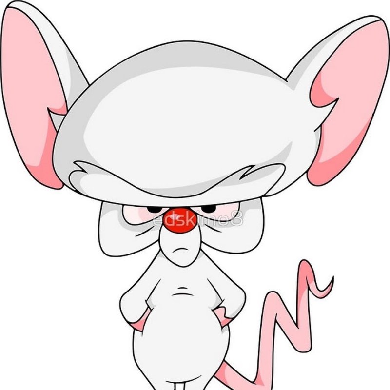 Пинки из мультика Пинки и Брэйн