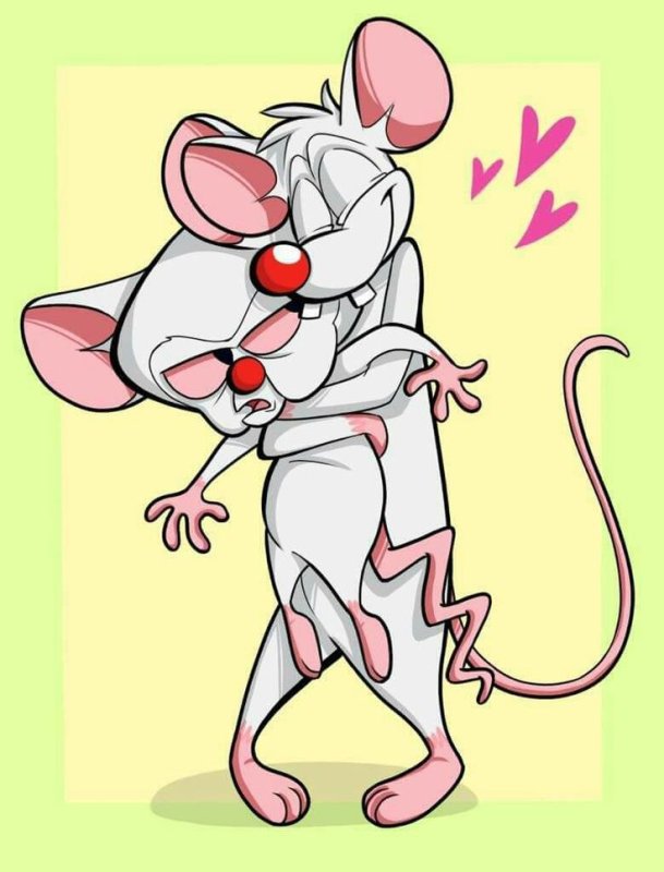 Герои мультика Пинки и Брейн