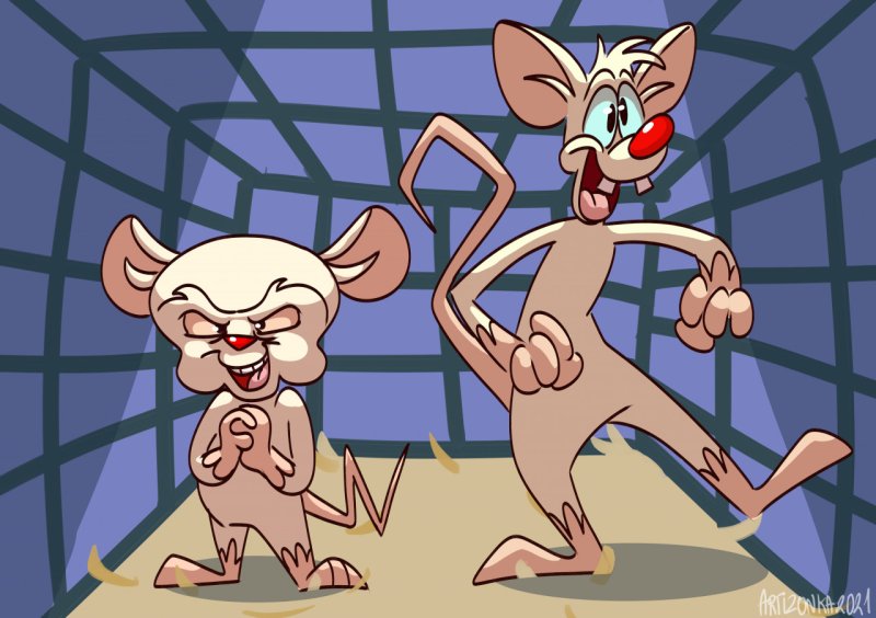 Пинки и Брейн мультсериал 1995 1998