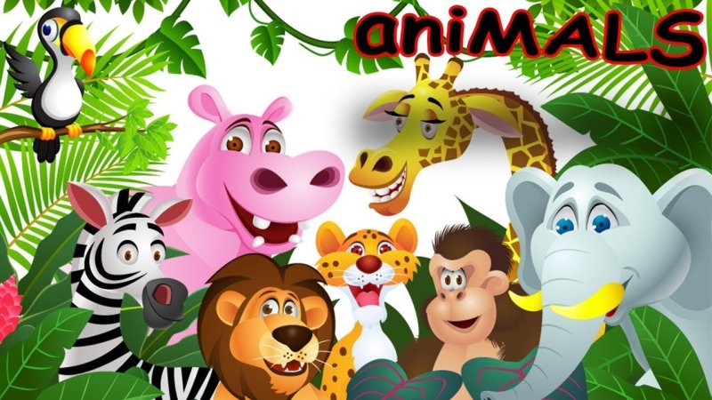 Зов джунглей телепередача заставка