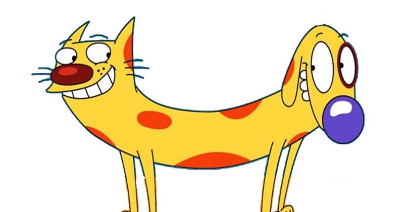 Котопес пес