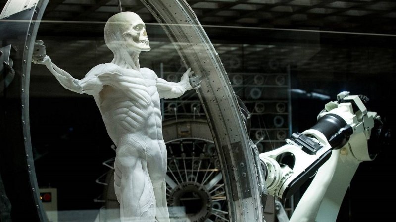 Мир дикого Запада андроиды