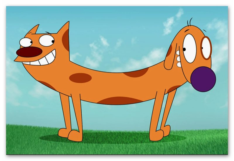 Котопес мультфильм кот