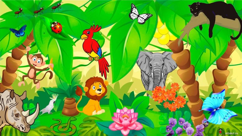 Джунгли для дошкольников
