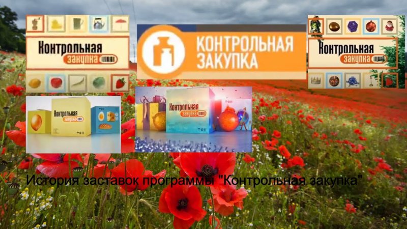 Контрольная закупка заставка