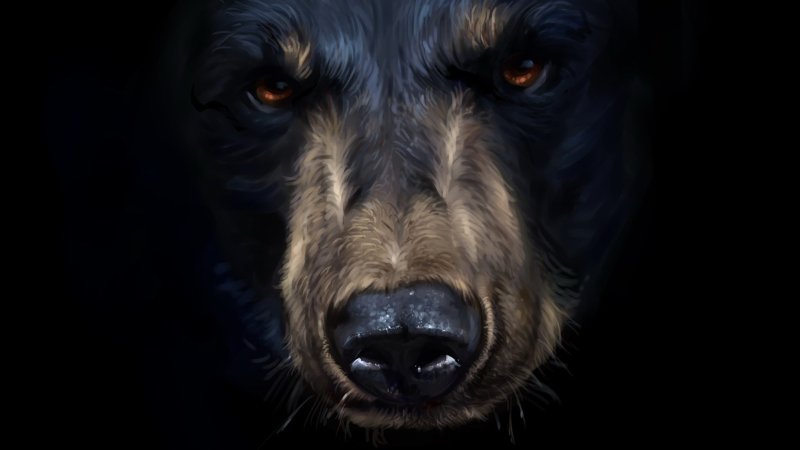Морда медведя