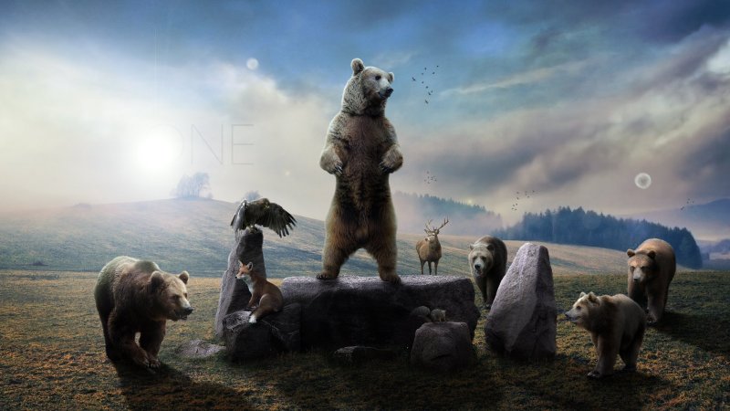 Медведь арт