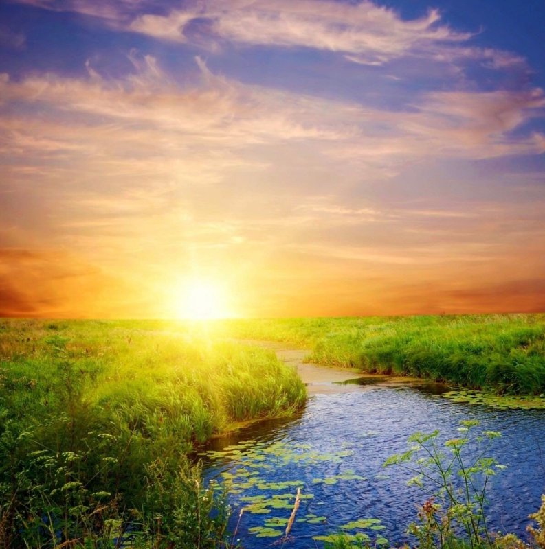 Пейзаж рассвет