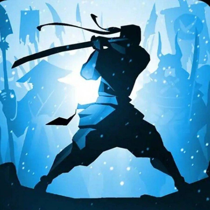 Тень из шадоу файт 2