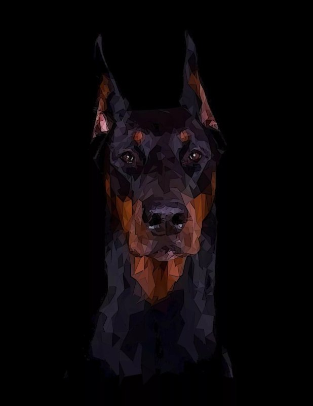 Австралийский Доберман