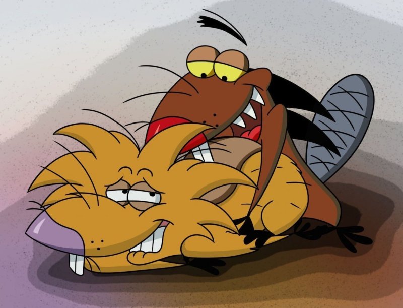 Злюки бобры Норберт