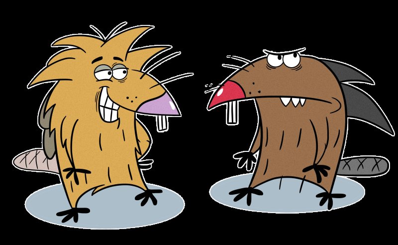 Бобры Норберт