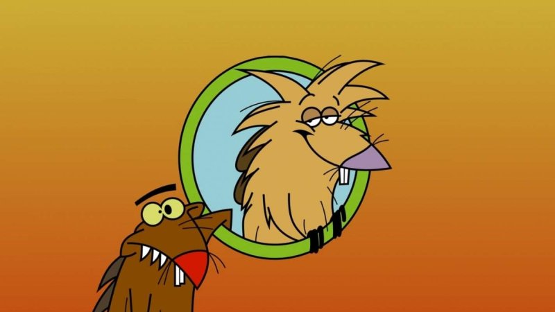 Крутые бобры (1997 – 2001)