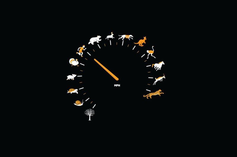 Заставка Минимализм