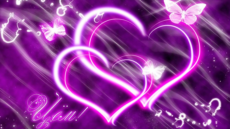 Сердце фиолетовое