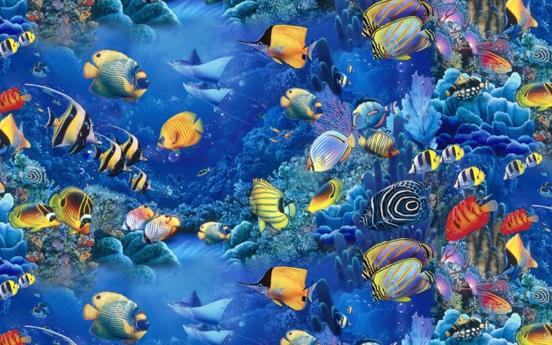 Тропические рыбы