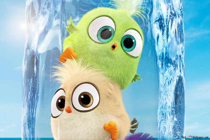 Энгри бердз мультфильм