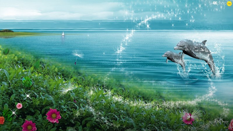 "красивая природа море"