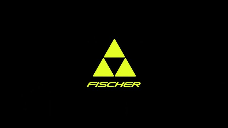 Логотип компании Фишер