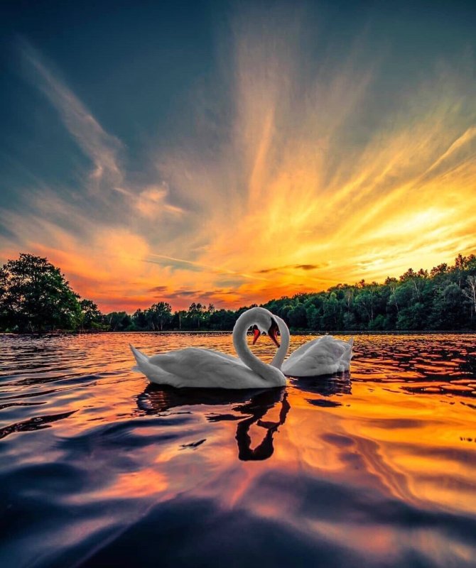 Любовь к природе