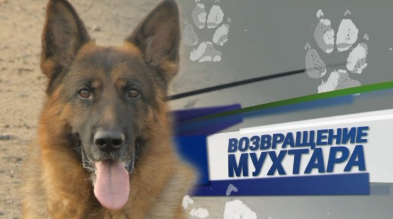 Мухтар 1 сезон