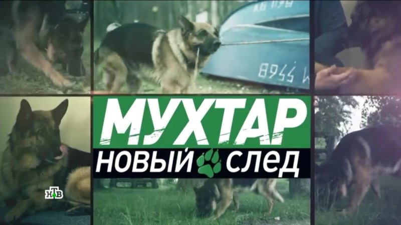 Мухтар новый след сериал НТВ