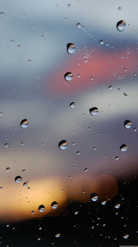 Фотообои на экран смартфона