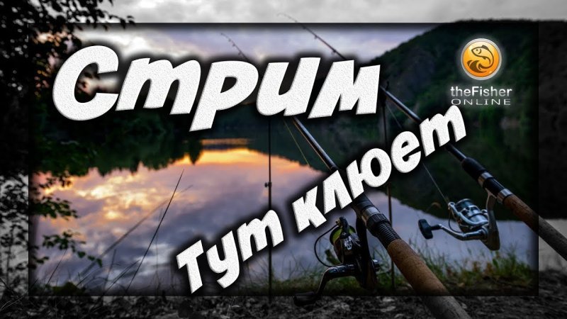 Фишер онлайн картинки