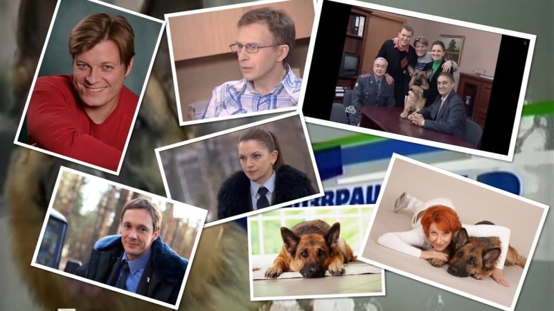 Возвращение Мухтара 2 сериал с 2005 г.