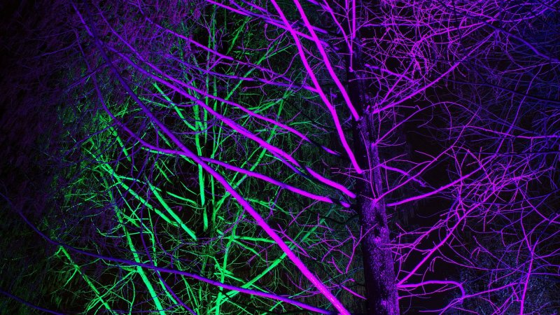 Неоновый фиолетовый