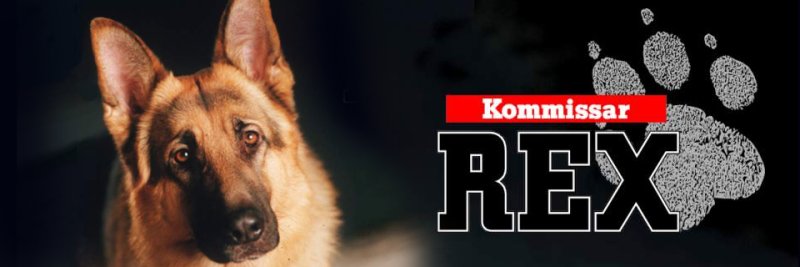 1994 Комиссар рекс обложка сериала