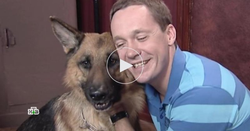 Алексей Шутов Максим Жаров