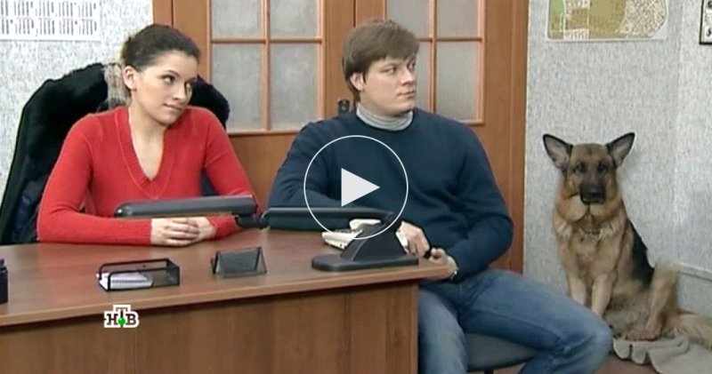 НТВ сериал Возвращение Мухтара 2