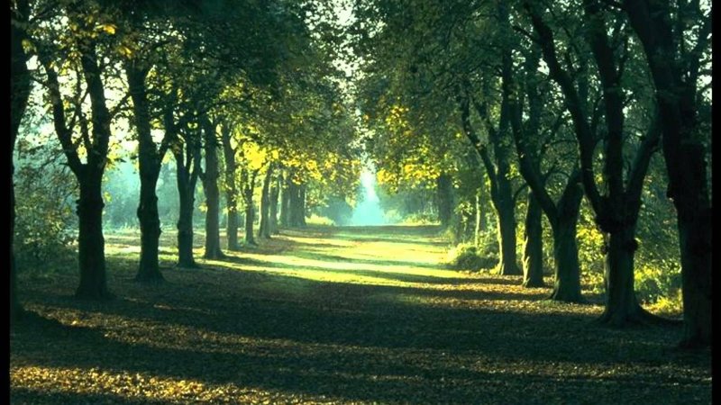 Фон для расслабления