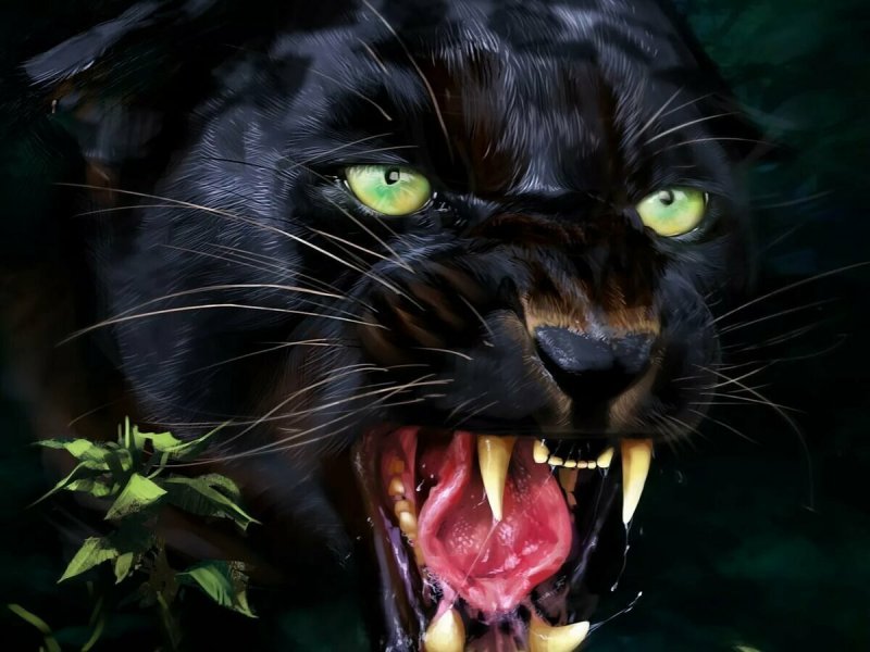 Черная пантера Ягуар