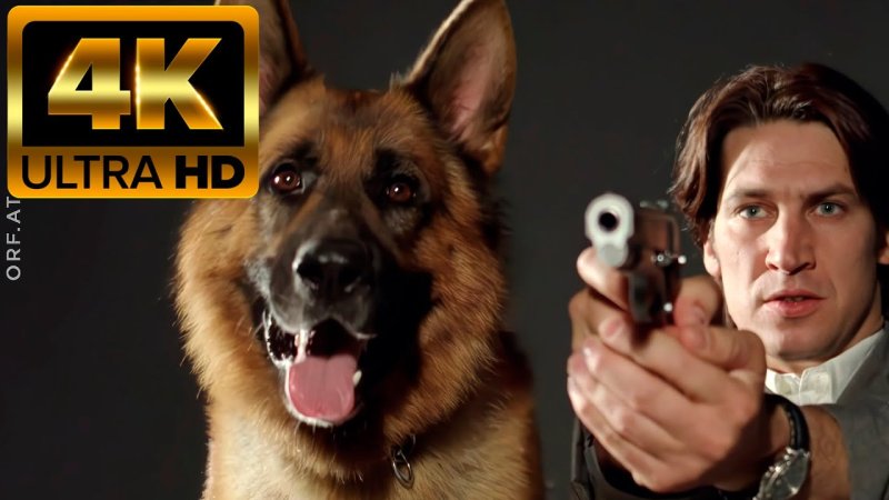 Комиссар рекс заставка