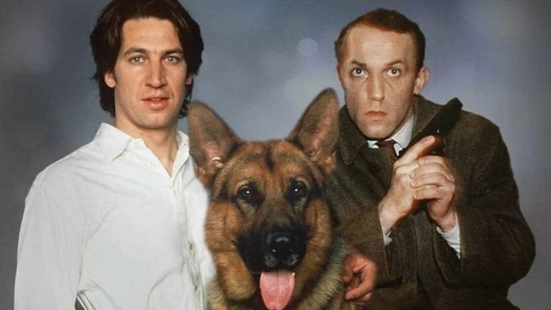 Николас Офчарек комиссар рекс