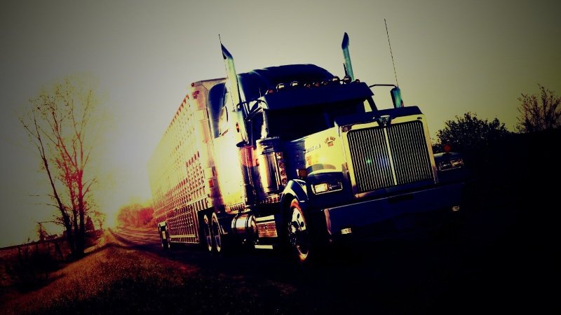 Грузовики Дальнобой