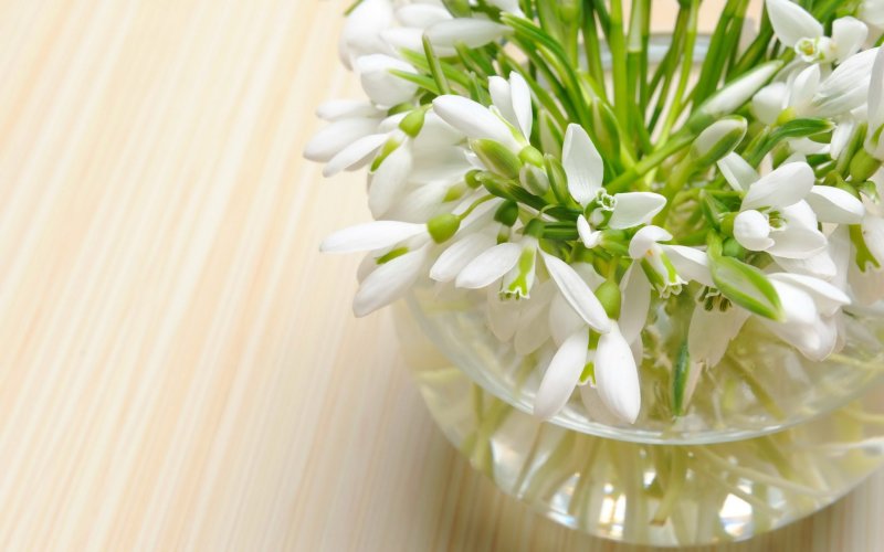 Красивый букет подснежников