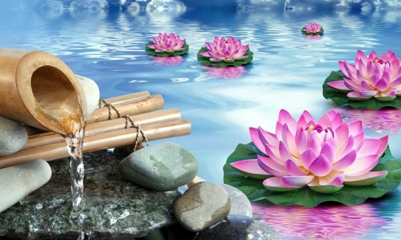 Заставка на рабочий стол по фен шуй