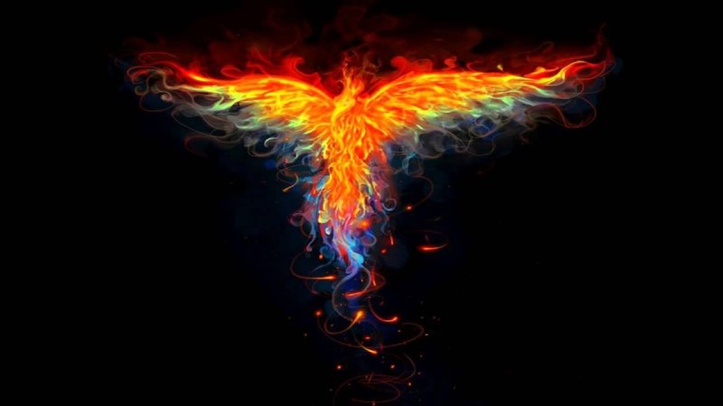 Птица Феникс Перерождение