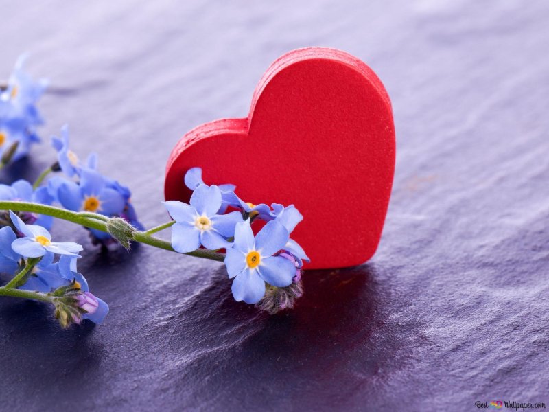 Цветы сердце