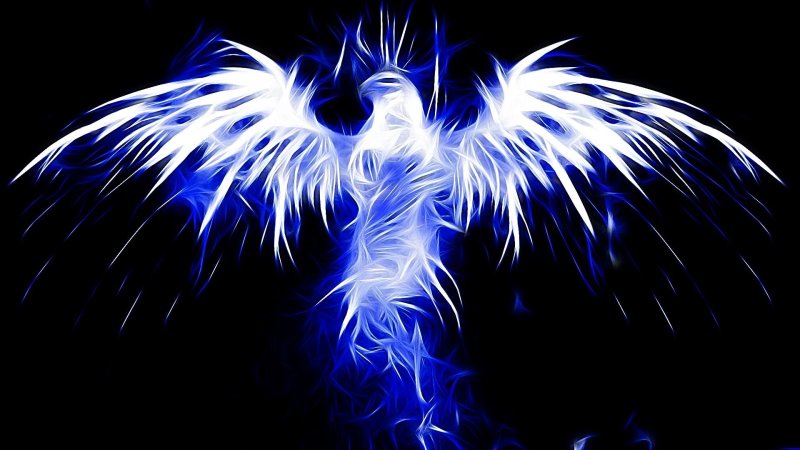 Красивый Феникс