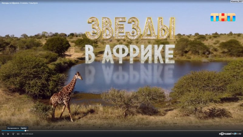 Звезды в Африке 2022