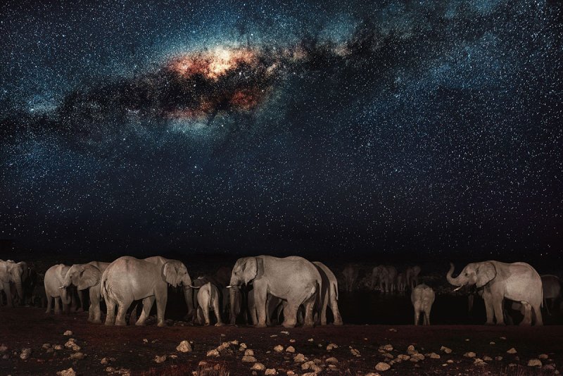 Звездное небо в Африке