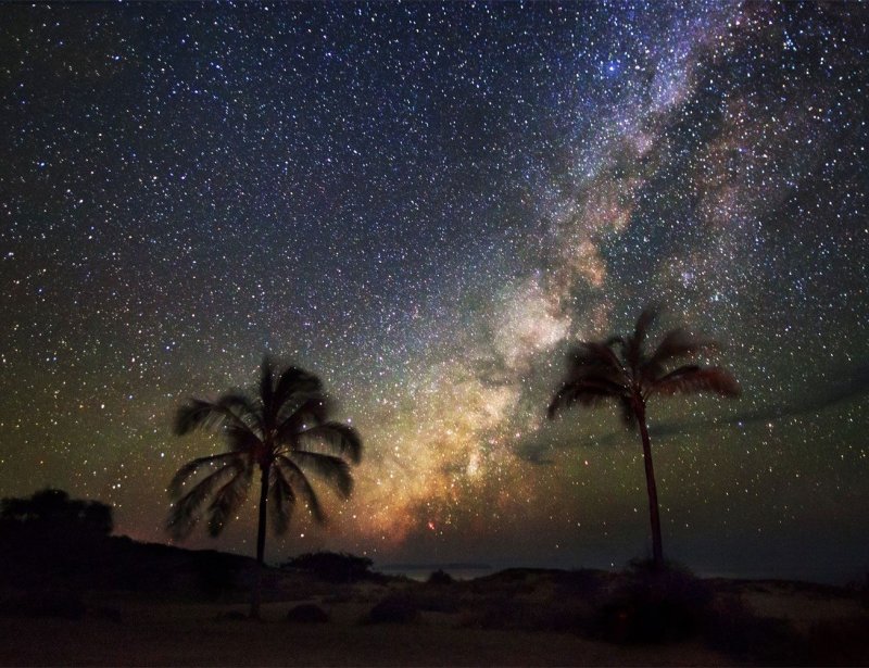 Звезды ночь пальмы