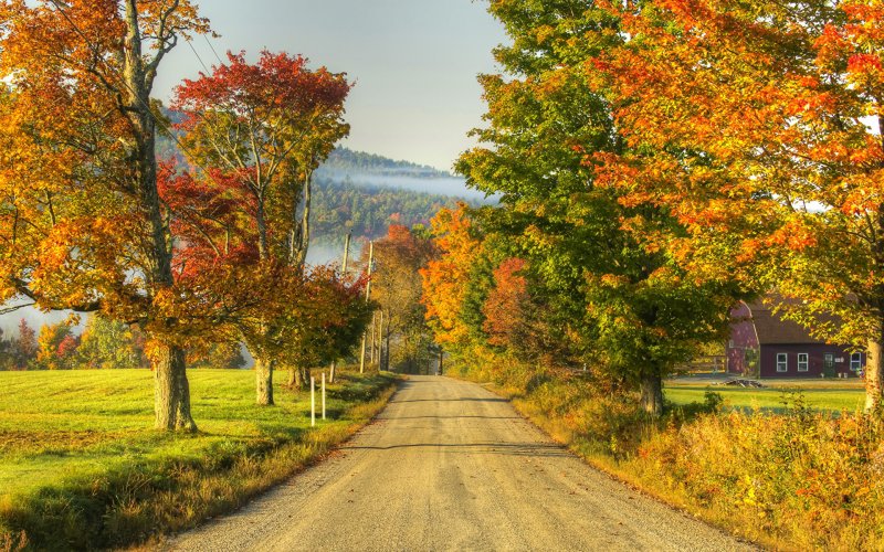 Ранняя осень