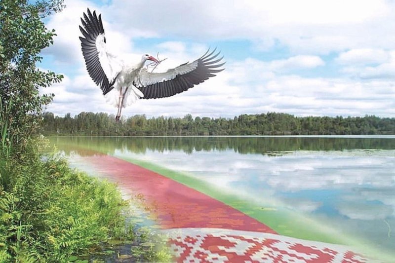 Моя Беларусь