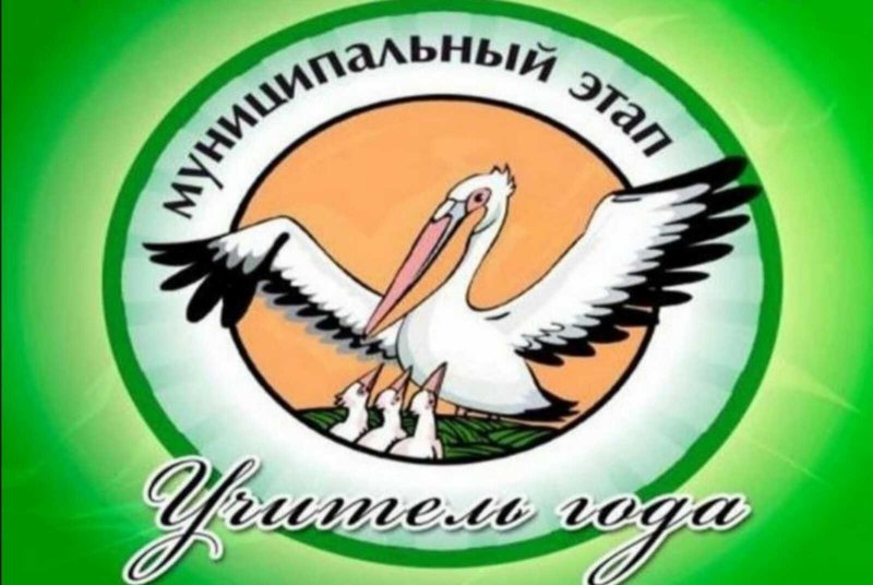 Символ учитель года Пеликан