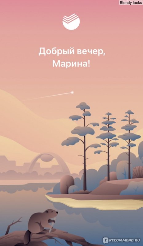 Заставка Сбер приложение